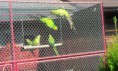 /album/jnjj/imag1105-jpg/